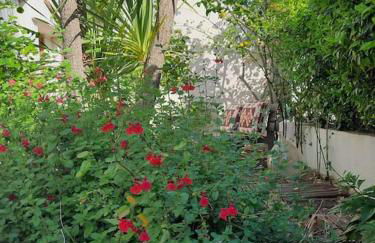 Maison centre Montpellier Jardin et proche plage - Foto 5