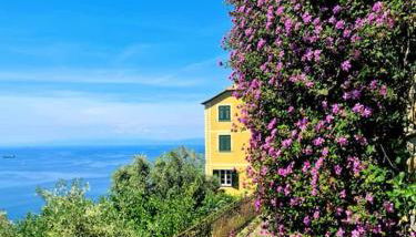 Il sogno del capitano - Photo 4