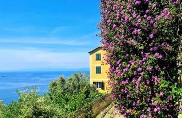 Il sogno del capitano - Photo 4