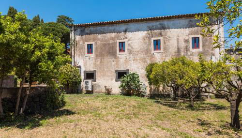 Villa Franca La Casina - Foto 4, Garden