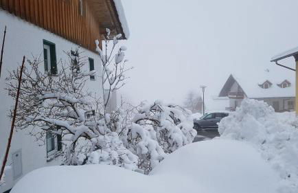 Ferienhaus Rachelblick - Foto 29