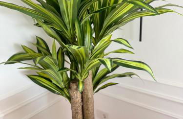 Casa Moureto - One bedroom Sea View Villa with Jacuzzi - Photo 31