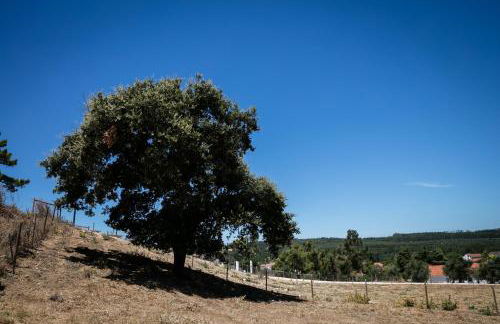 Casas de São José - Foto 27