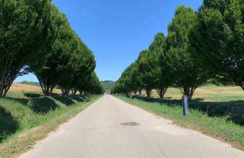 Il Feudo Della Libella - Photo 13