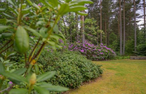 Haven Retreat Scotland - Large 4 Bed House with Woodland garden, Aboyne ,Royal Deeside - Photo 33