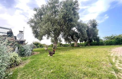 Le Corti Sarde Sea Breeze - Foto 14