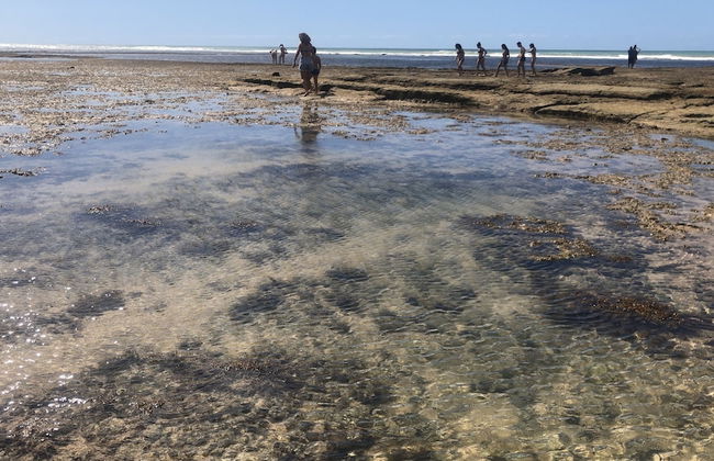 Branca Tropical Brasil Residencial - Foto 59