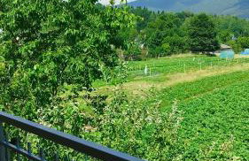 Urocze Apartamenty - Foto 48