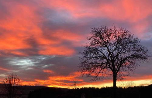 Ferienwohnung Schötz - Foto 27