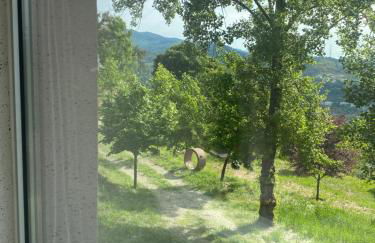 Douro Wellspring - Photo 28