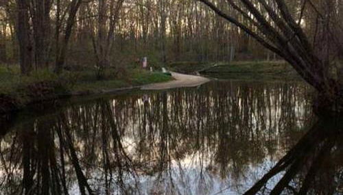 Cabin Surrounded by Sublime Nature near Lake Huron, Michigan - Foto 3