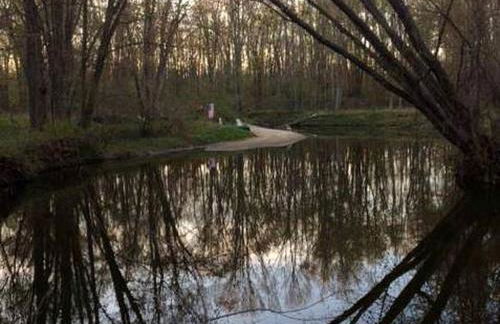 Cabin Surrounded by Sublime Nature near Lake Huron, Michigan - Foto 3