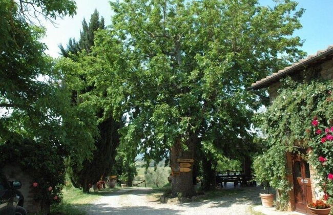 Agriturismo Relais Poggio Primo - Foto 40