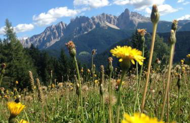 Apartment Obkircher - Foto 30