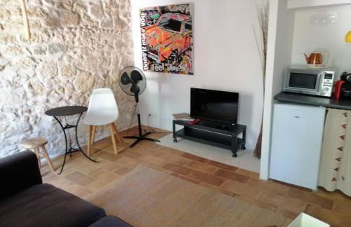 studio au sein d'un mas en Camargue - Photo 12