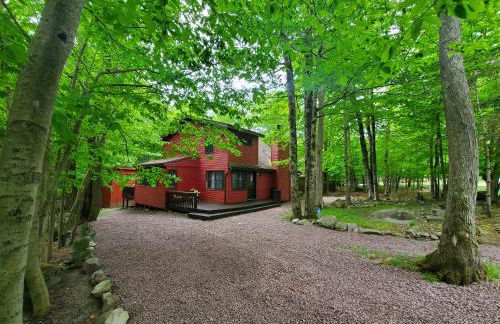 Chalet renovated Near Casino, Camelback , Kalahari 4bdrms firepit hot tub game room - Foto 3