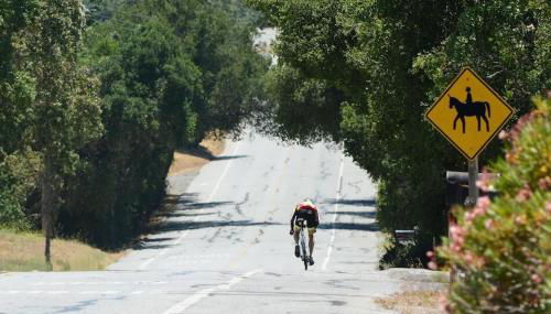 Gorgeous Retreat 5 Acres Paradise - Foto 3