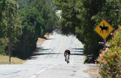 Gorgeous Retreat 5 Acres Paradise - Foto 3