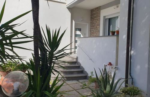 Lecci al Mare - Foto 26