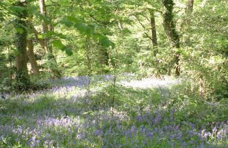 Swansea Valley Holiday Cottages - Foto 82