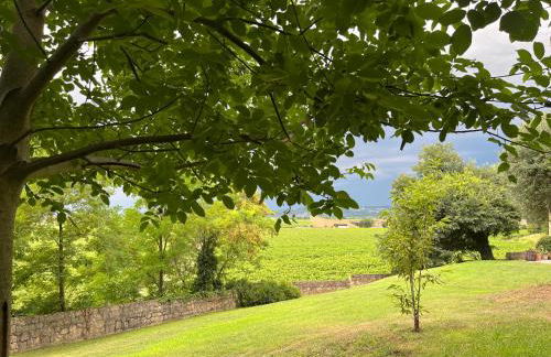 Large villa between Verona and Venice - Photo 15