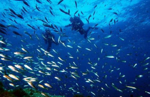 Cabo de Palos apartamento vacacional - Foto 75