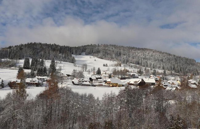 Ferienwohnung in Todtmoos - Photo 35