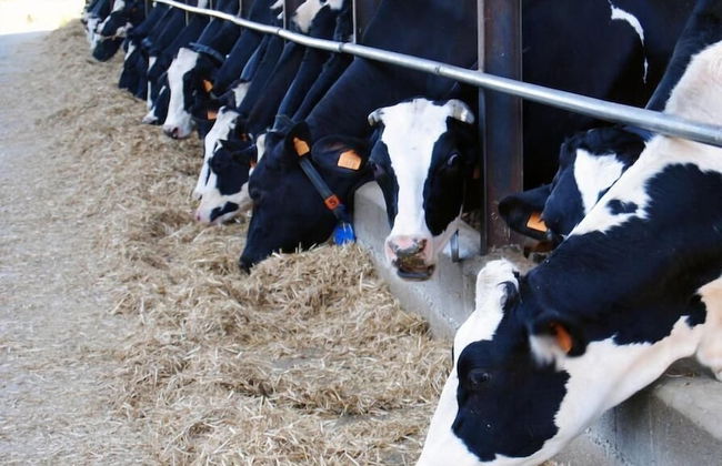 Cascina Bosco Gerolo - Photo 14