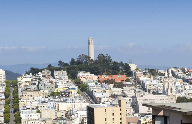 Visite des points de vue et des collines de San Francisco - Photo 1