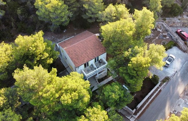 Eli - for Nature Lovers - A2 - Foto 13