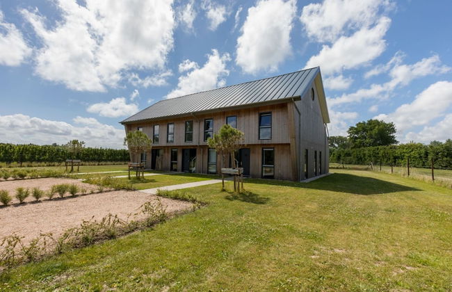 Holiday Home in Vrouwenpolder Near Beach - Photo 37