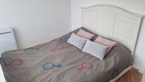 Maisonnette avec jardin Reims centre - Foto 4