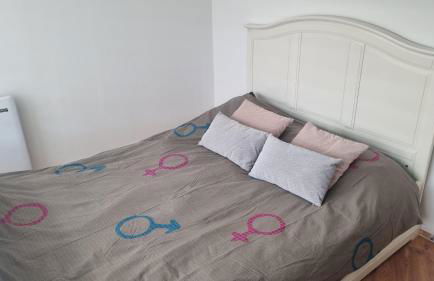 Maisonnette avec jardin Reims centre - Foto 4