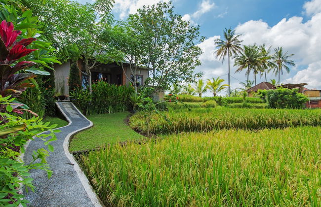 Cahaya Ubud Villa - Foto 62