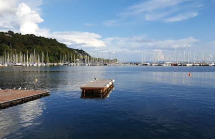 Residence Oliveto Mare Carso - Foto 22