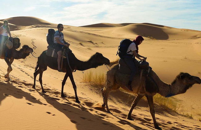 Balade à dos de chameau au coucher du soleil avec dîner - Photo 2