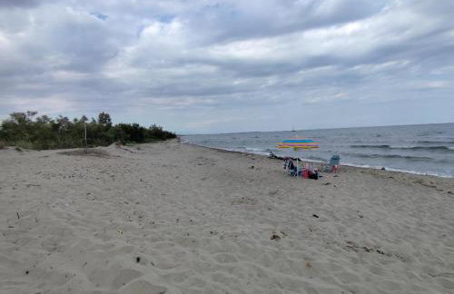 Lina's House - Photo 33