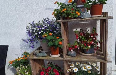 Pension Entenhausen - Foto 50