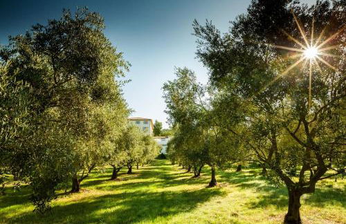 Exceptional Bastide in Lourmarin, Luberon - Foto 14