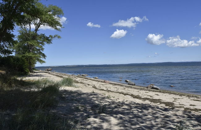 Ferienwohnung mit Liegewiese - Foto 24