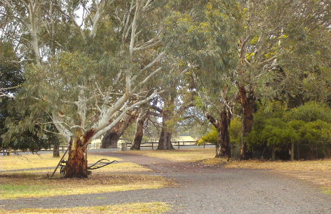 GRAMPIANS HISTORIC TOBACCO KILN - Foto 10
