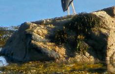 The Old Ferryhouse - Foto 49