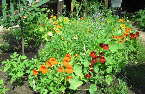 Ferienhaus Bildt - Foto 7