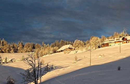Fidelis-Bühl Muggenbrunn - Foto 15