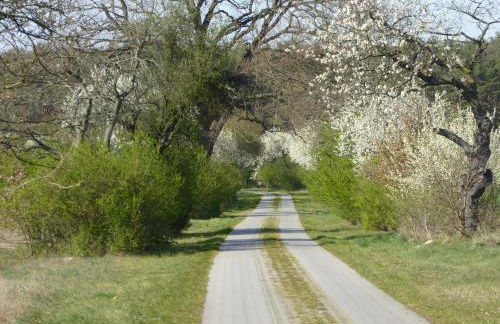 Schmidts Naturhof - Foto 13