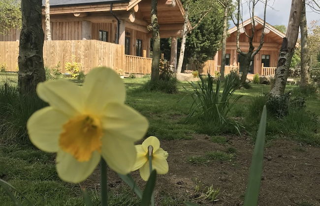 Braisty Woods - Knotty & Nice - Foto 15