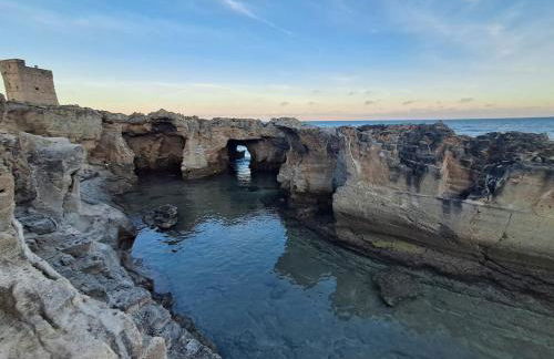 Marina Serra - Foto 7