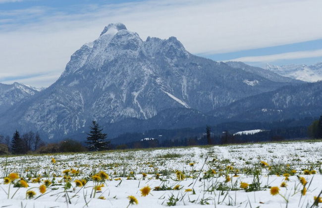 Spacious, Inviting Apartment Near Fussen in the Allgau Region in Bavaria - Foto 31