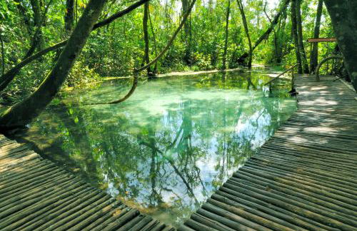 Hotel Fazenda Areia que Canta - Foto 39