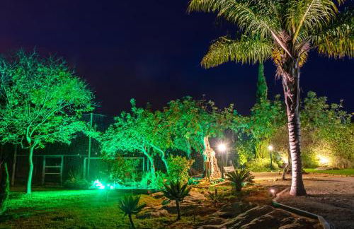 Holiday's Paradise - Foto 41